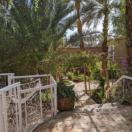 Villa Zagora Ma Villa Au Sahara Exteriör bild