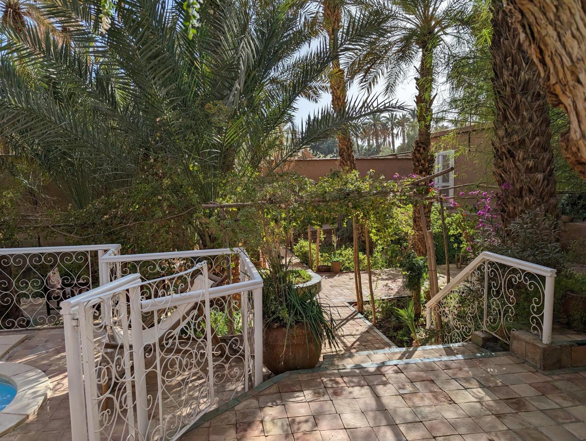 Villa Zagora Ma Villa Au Sahara Exteriör bild