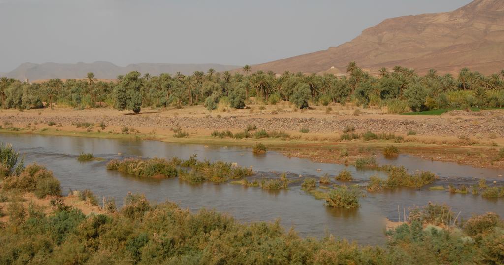 Villa Zagora Ma Villa Au Sahara Exteriör bild