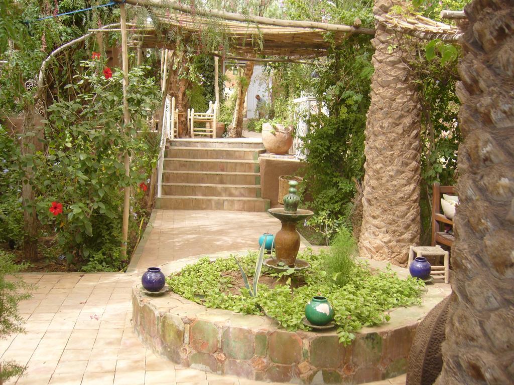 Villa Zagora Ma Villa Au Sahara Exteriör bild