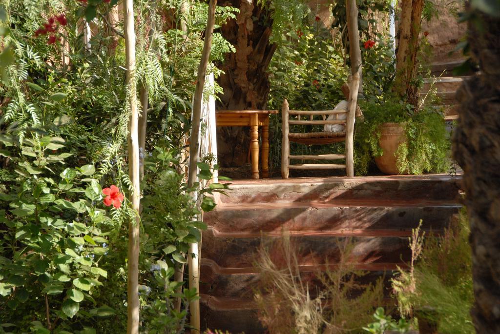 Villa Zagora Ma Villa Au Sahara Exteriör bild
