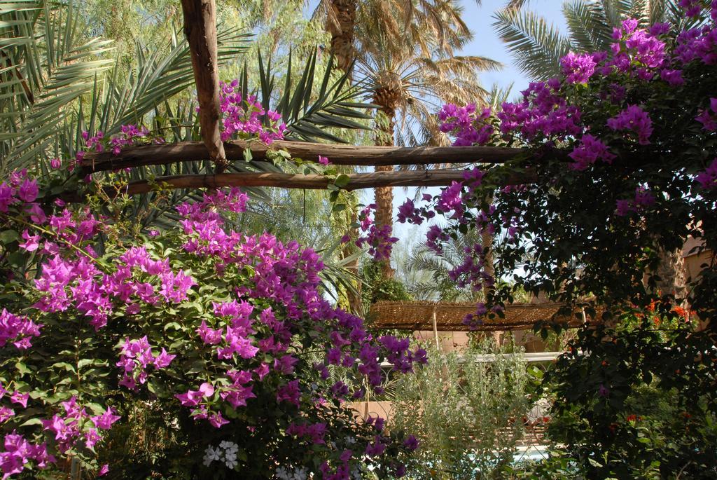 Villa Zagora Ma Villa Au Sahara Exteriör bild