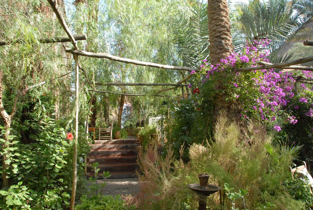 Villa Zagora Ma Villa Au Sahara Exteriör bild