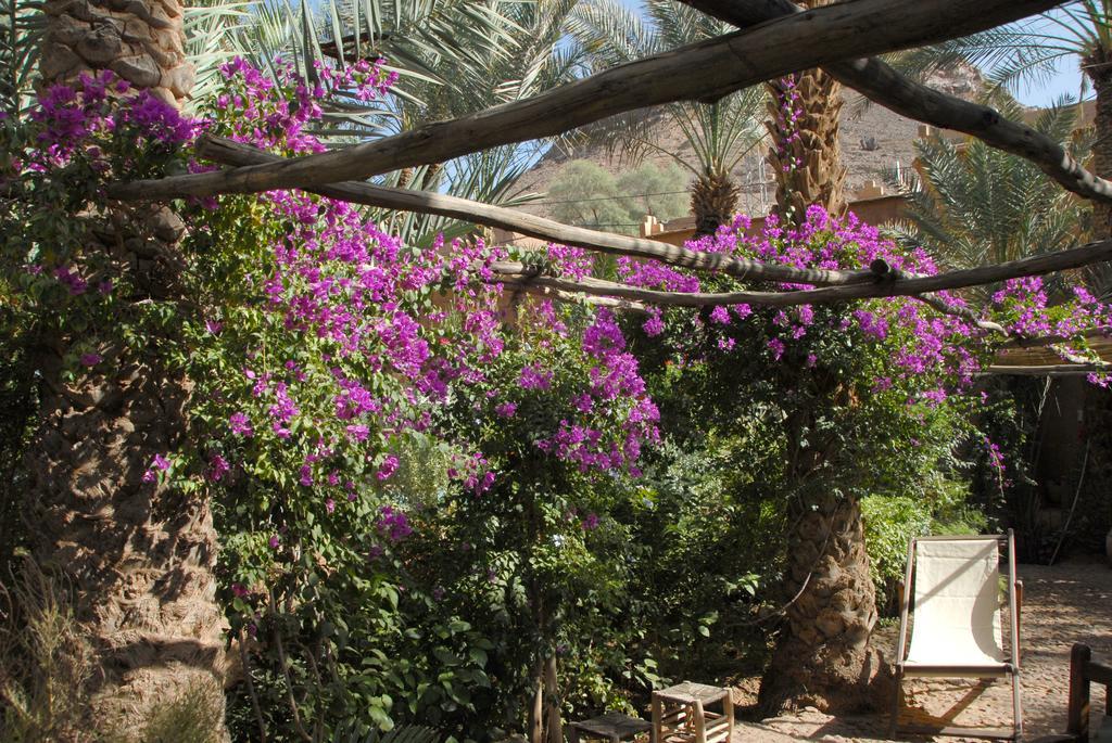 Villa Zagora Ma Villa Au Sahara Exteriör bild