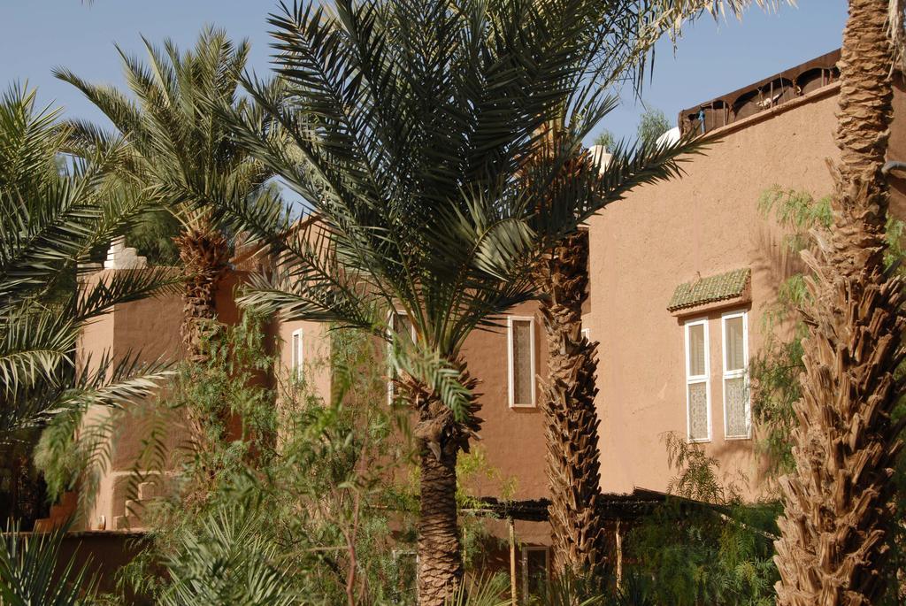 Villa Zagora Ma Villa Au Sahara Exteriör bild
