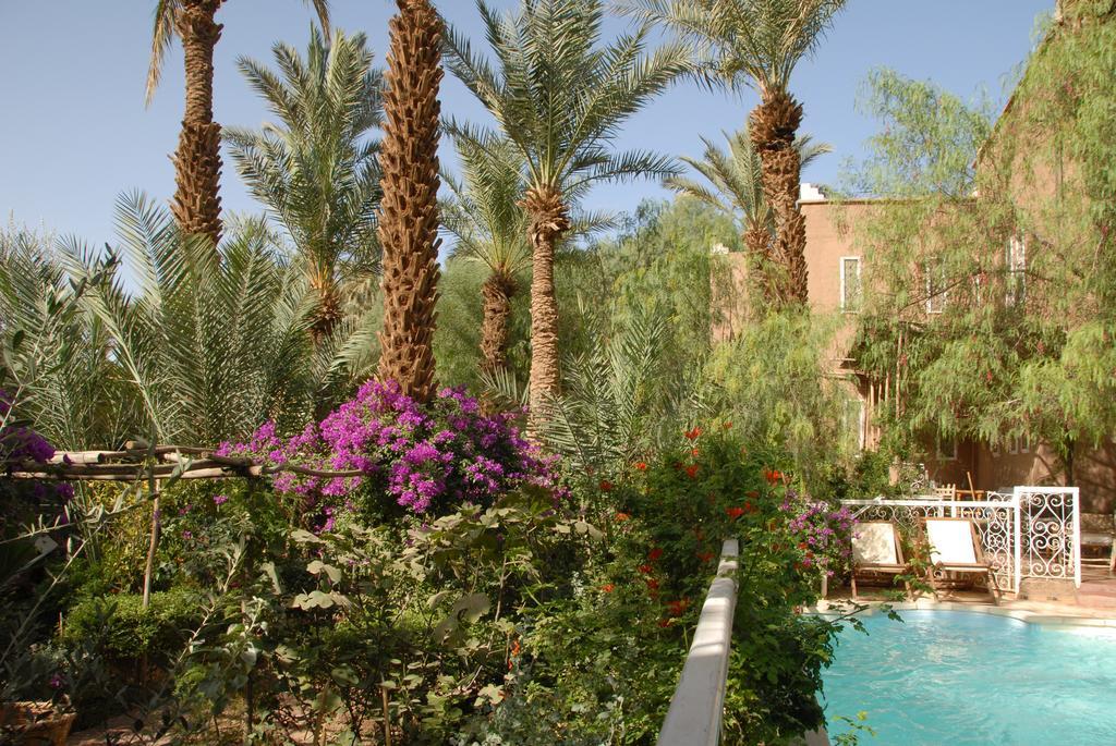 Villa Zagora Ma Villa Au Sahara Exteriör bild