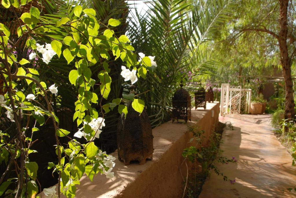 Villa Zagora Ma Villa Au Sahara Exteriör bild