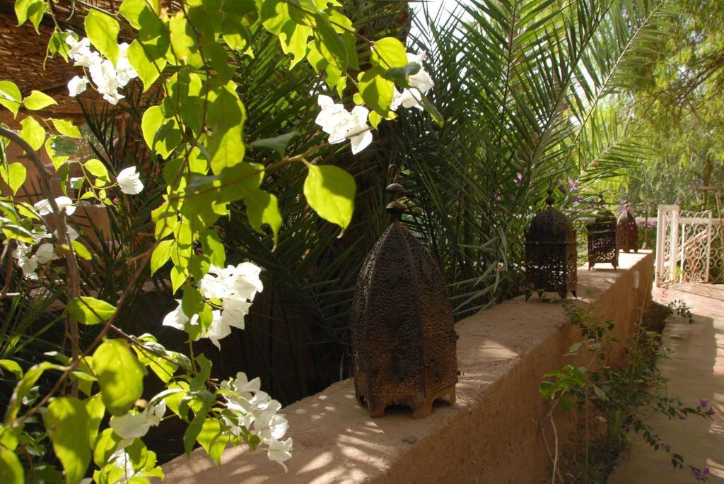 Villa Zagora Ma Villa Au Sahara Exteriör bild