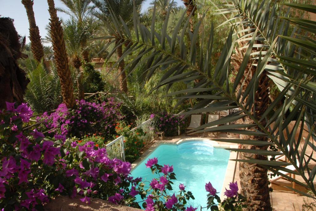 Villa Zagora Ma Villa Au Sahara Exteriör bild