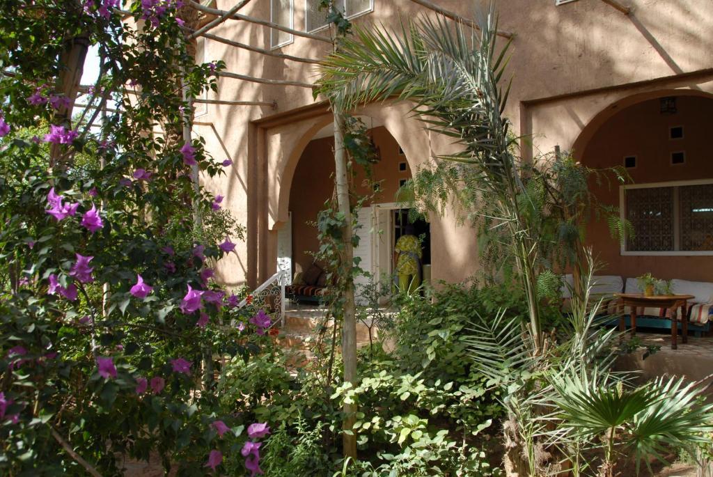 Villa Zagora Ma Villa Au Sahara Exteriör bild