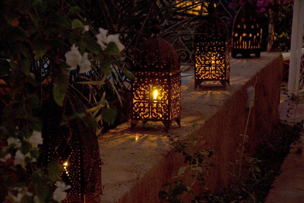 Villa Zagora Ma Villa Au Sahara Exteriör bild